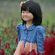 lily