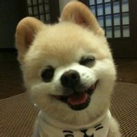 哈里卤鸭