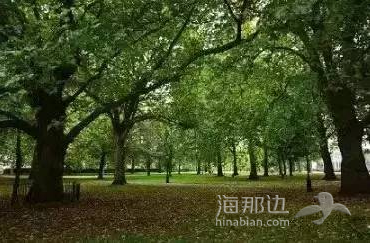 086cabdf29192aa58d568bf91d78e4da.png ..
