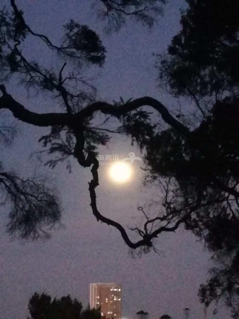 西草地诗抄23.jpg