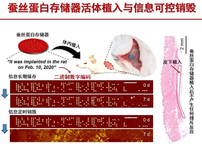 蚕丝硬盘3.jpg