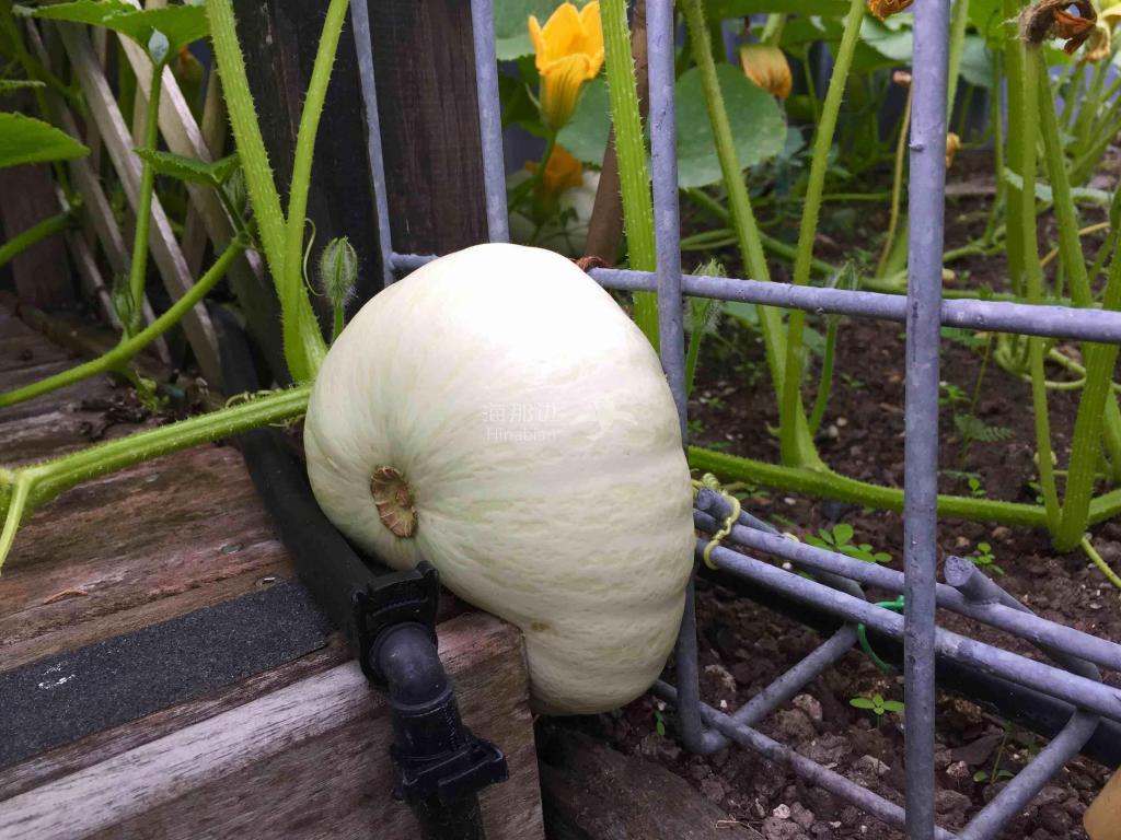 ..