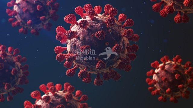 病毒颗粒9--新冠病毒.jpg