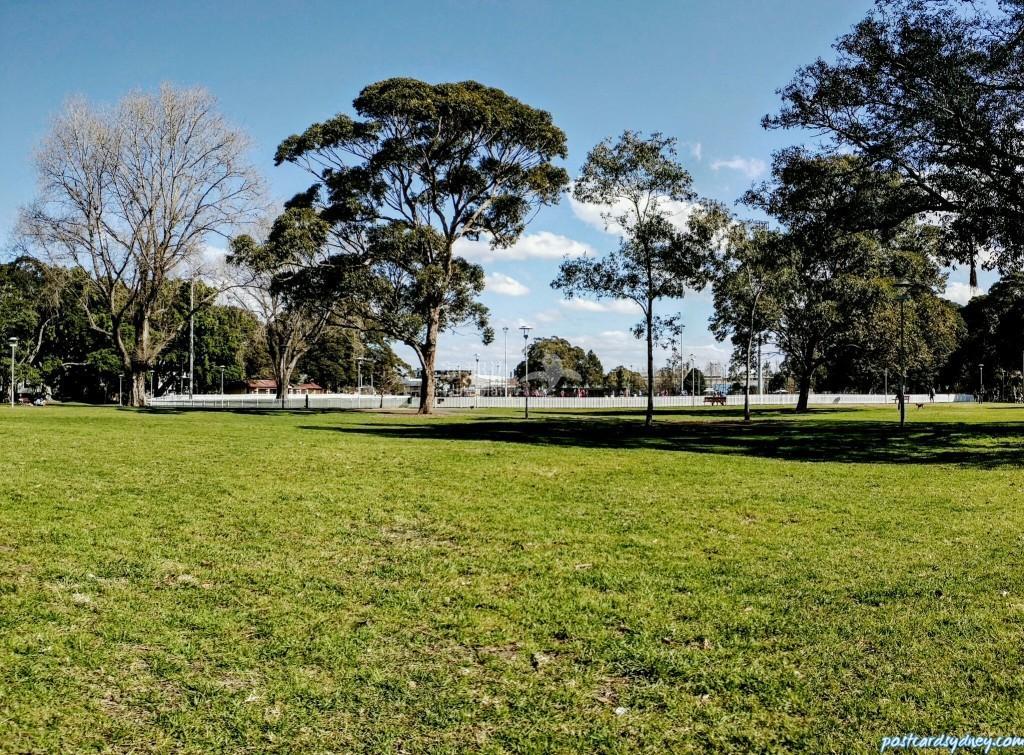 e-Alexandria-Park-Sydney--1024x755.jpg