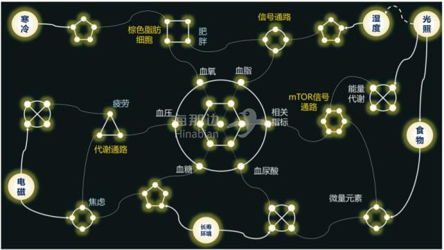 生物技术与信息技术融合3-以“环境 - 健康”关系为核心的知识图谱.jpg