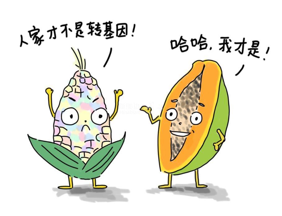 转基因食物1.jpg