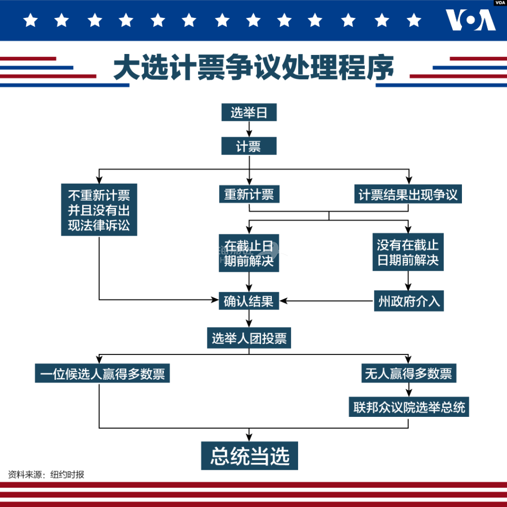 大选争议处理程序.jpg