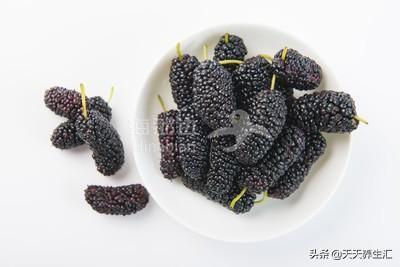 桑葚.jpg