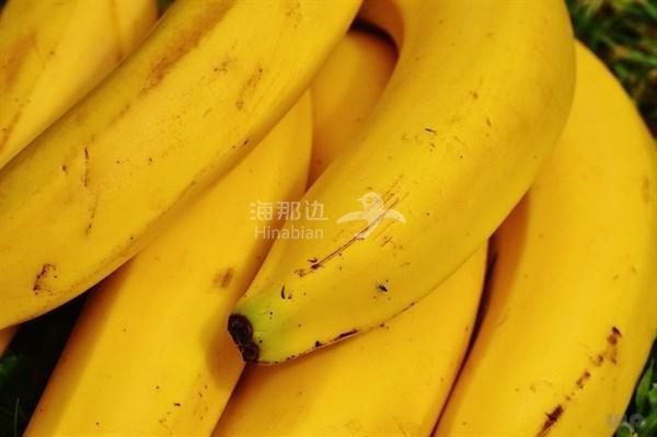 香蕉.jpg