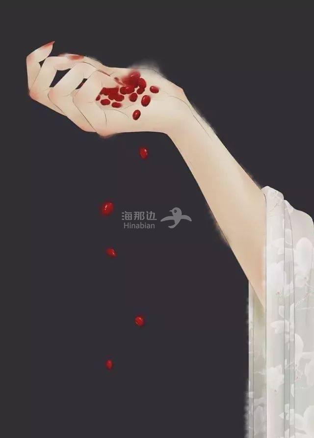 红豆7.jpg