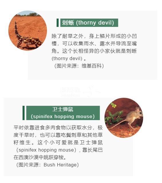 图4.jpg