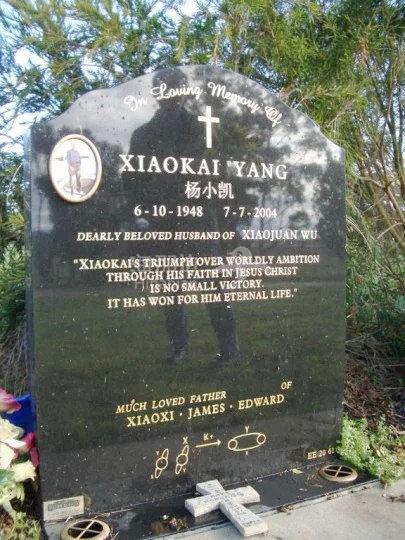 杨小凯6.jpg