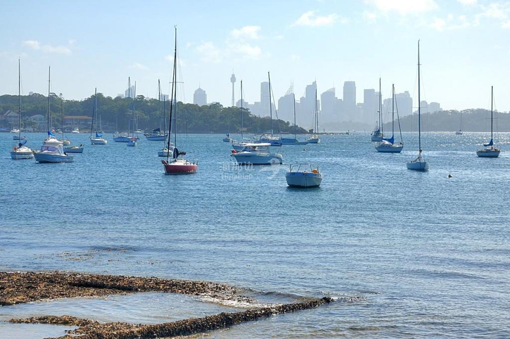 DSC_0347.jpg