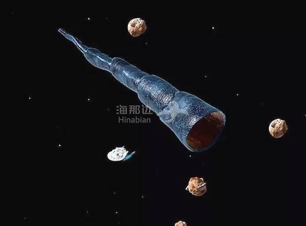 5-图源：Alien Species Wiki.jpeg