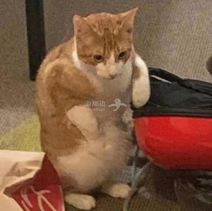 ..
