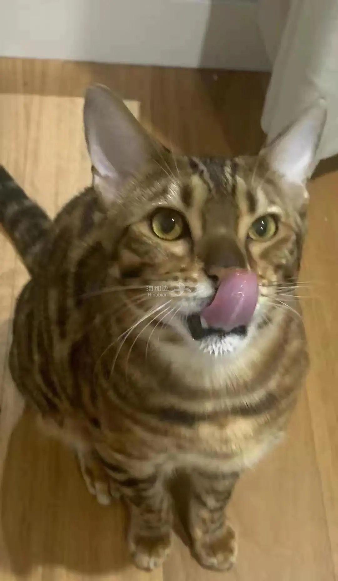 ..