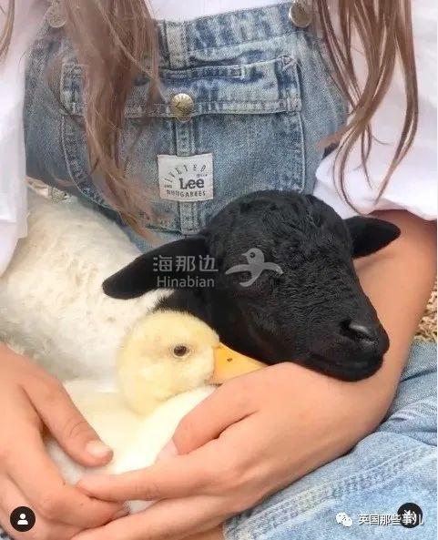 截屏2021-03-19 下午7.28.40.jpg ..