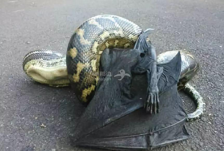 ..
