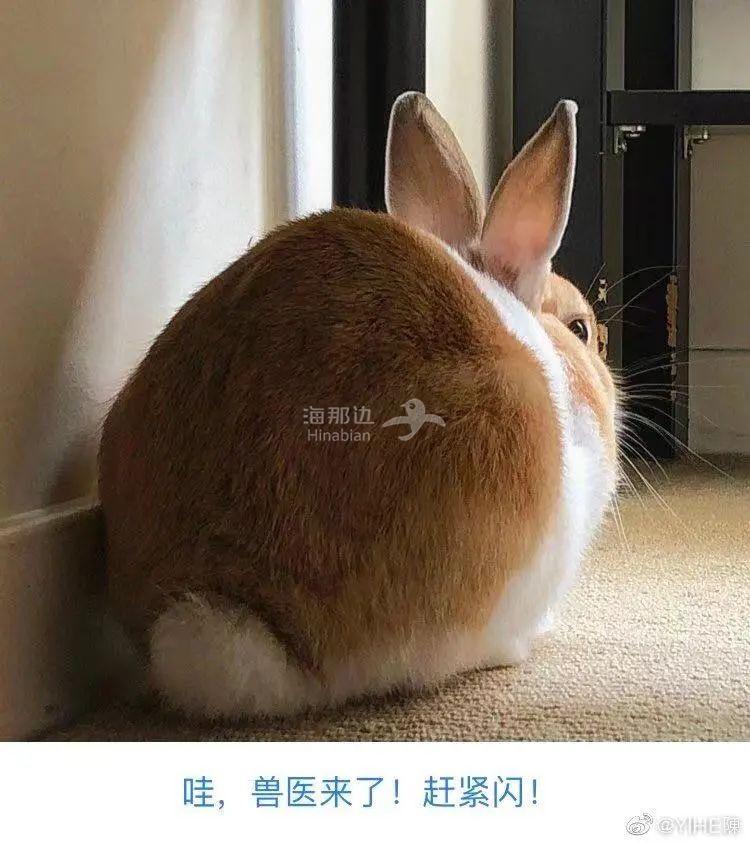 ..