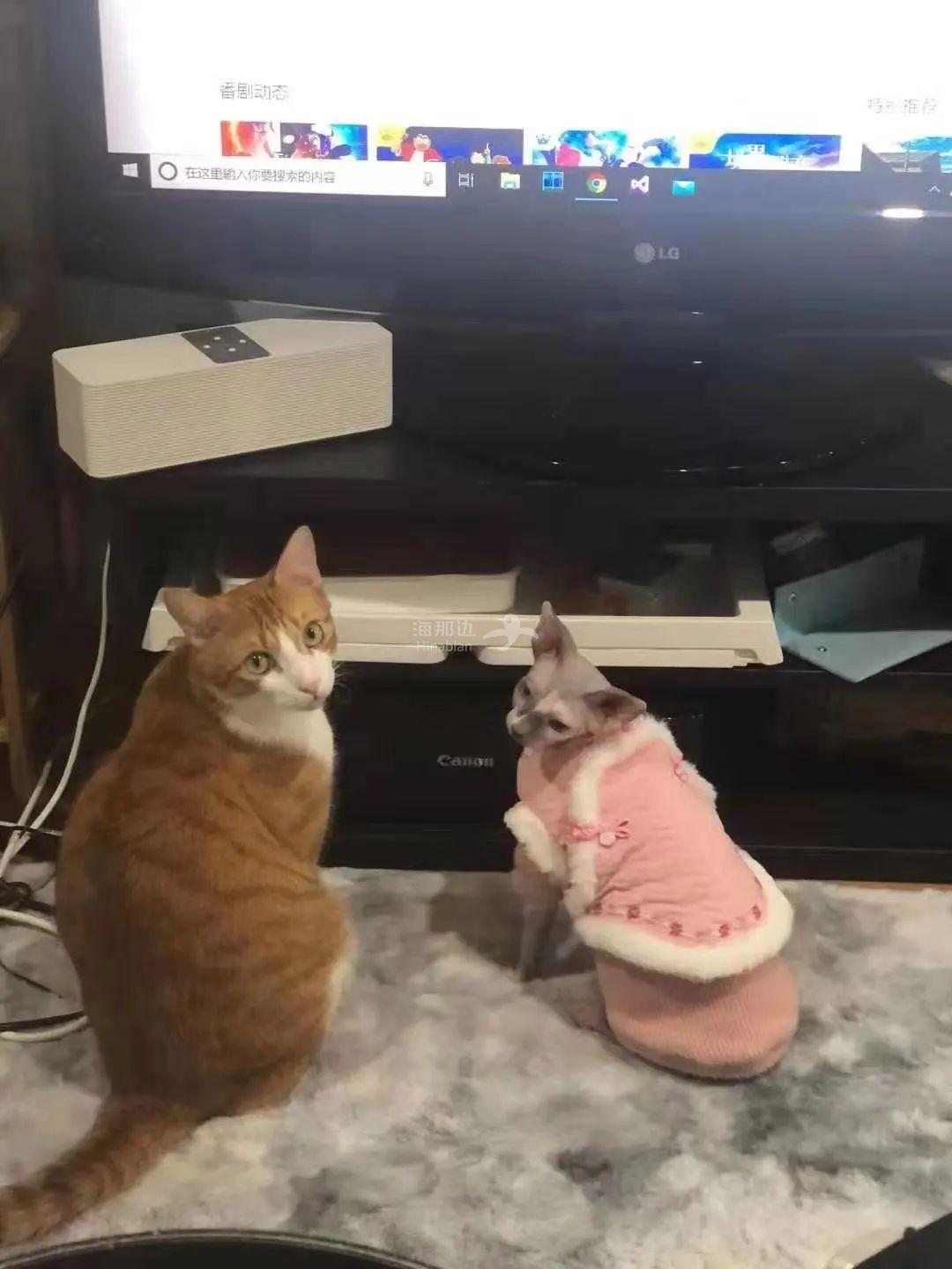 ..