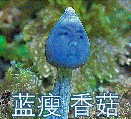 9.png