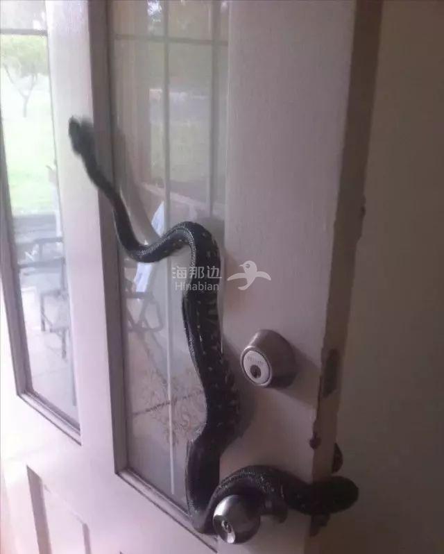 ..