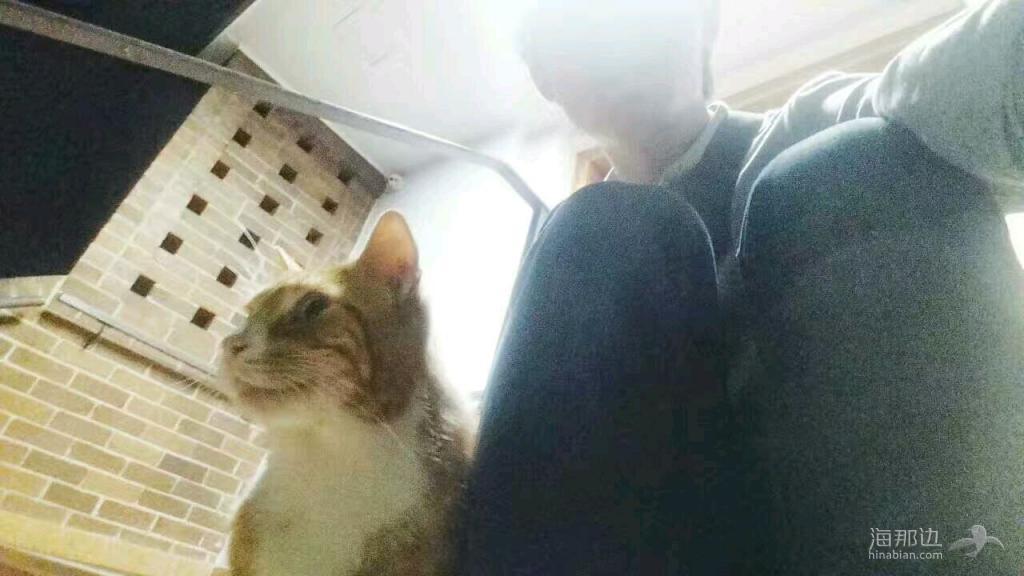 ..