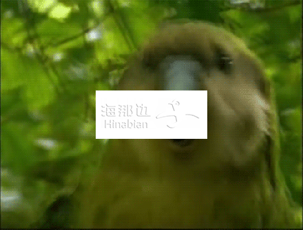 ..