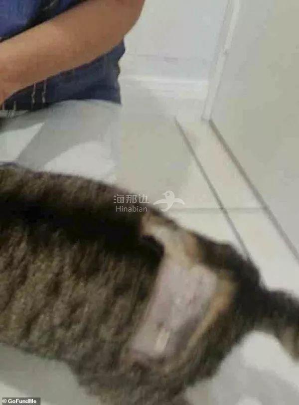 ..