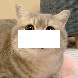 ..