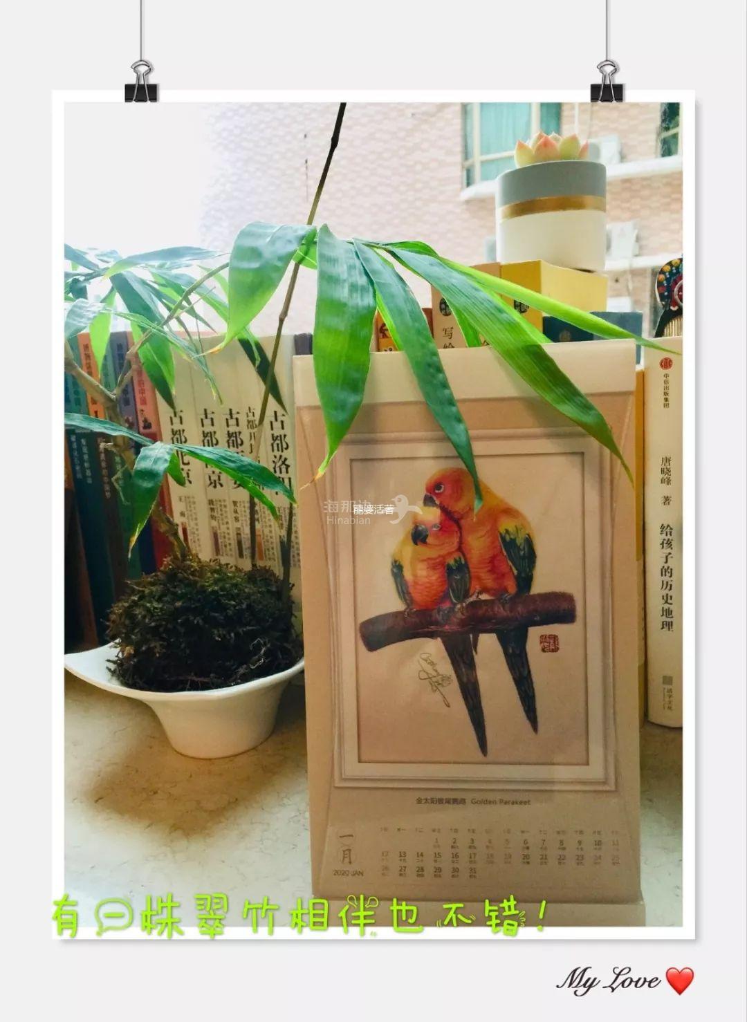 書房7.jpeg ..
