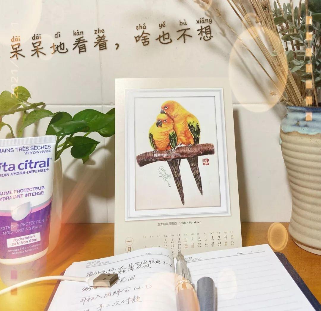 書房8.jpeg ..