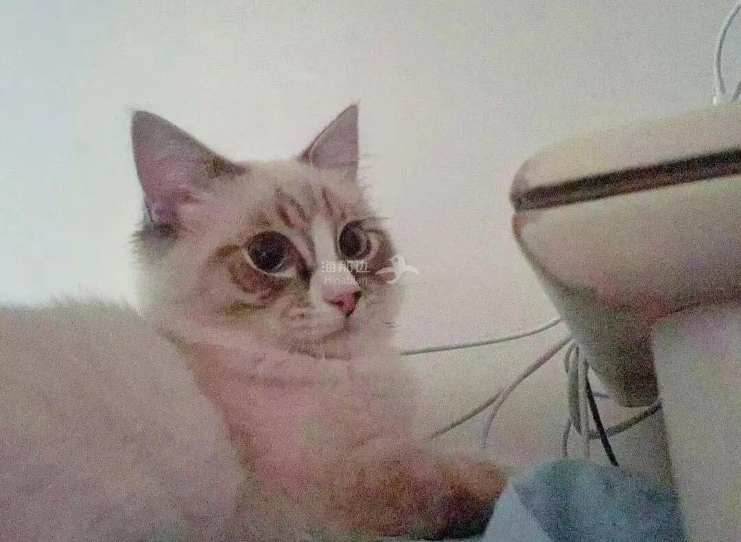 ..