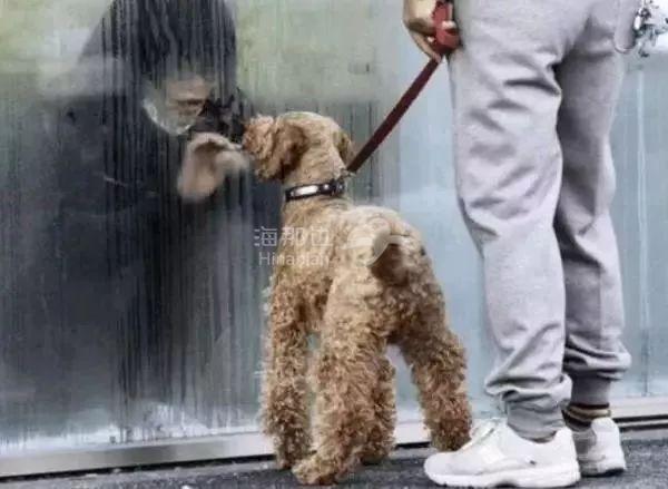 ..
