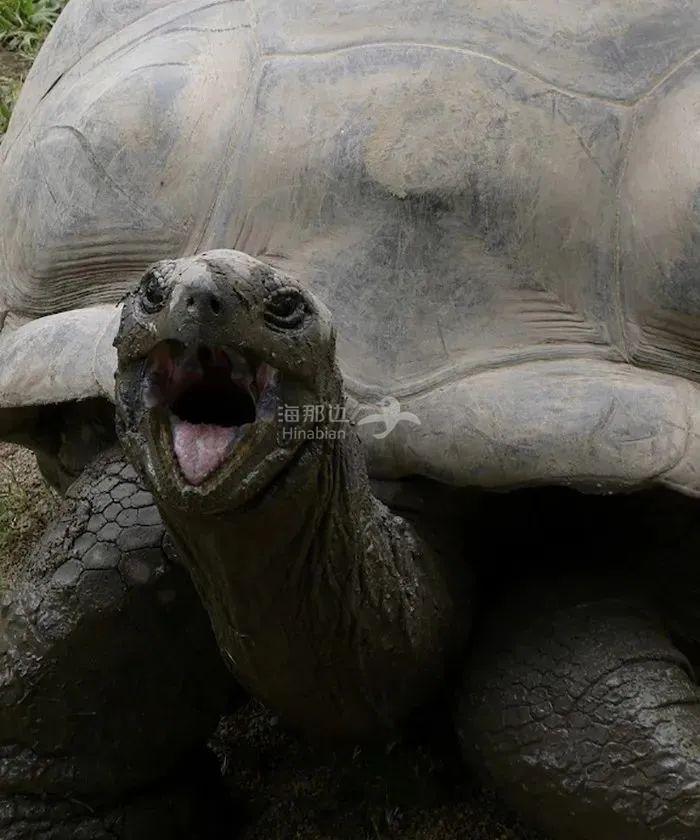 ..