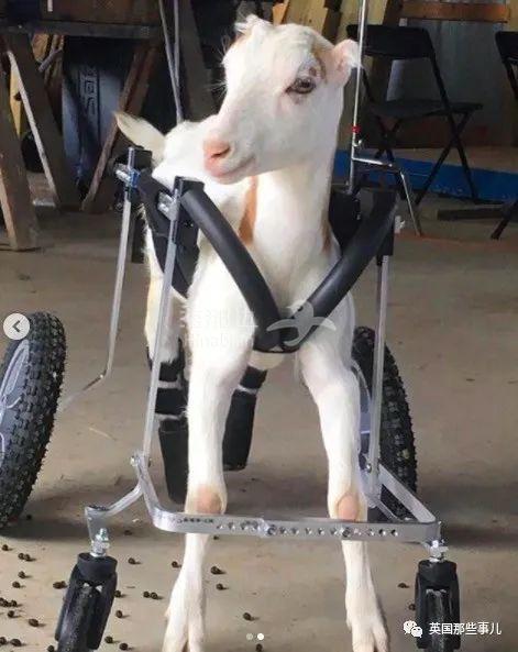 ..