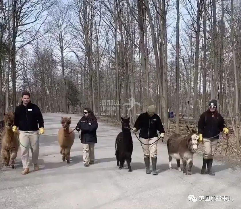 ..