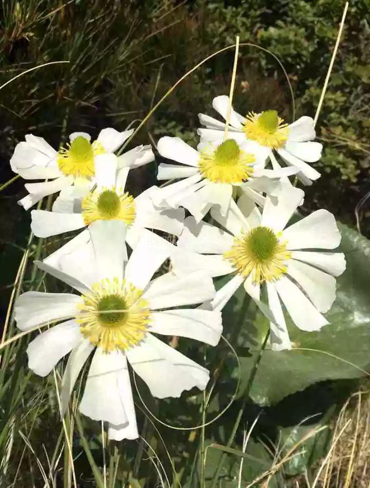 ..