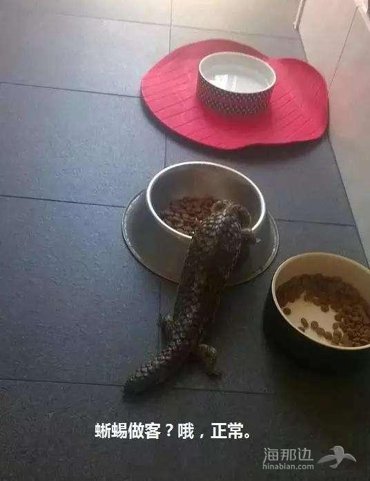 ..