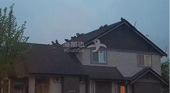 ..