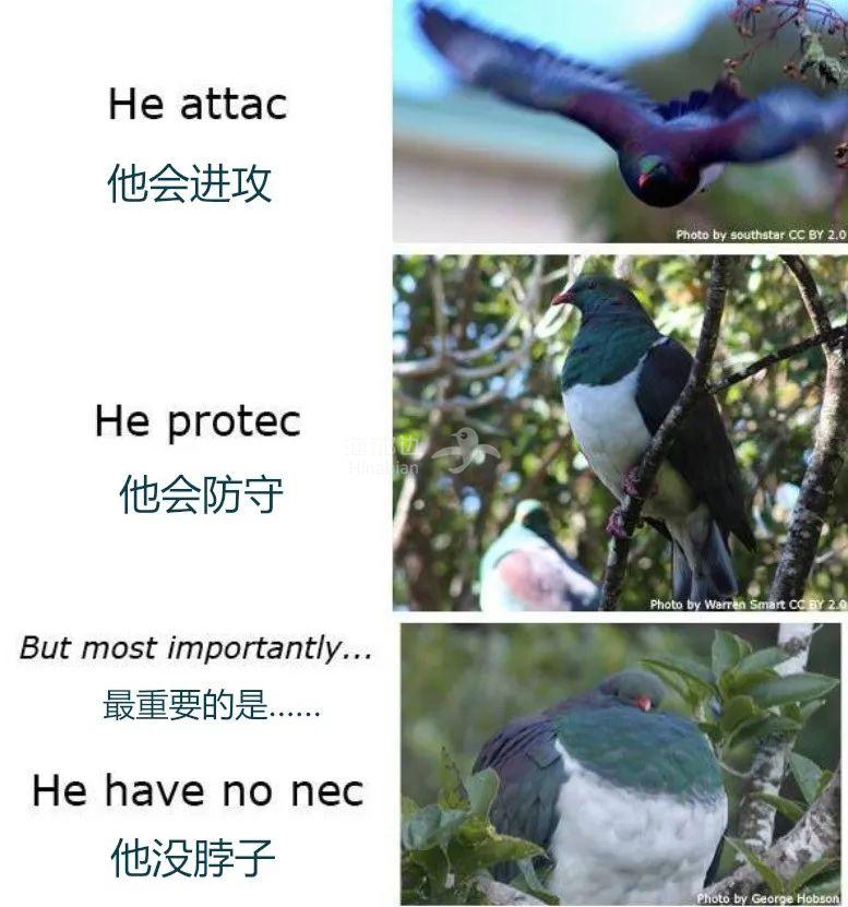 ..