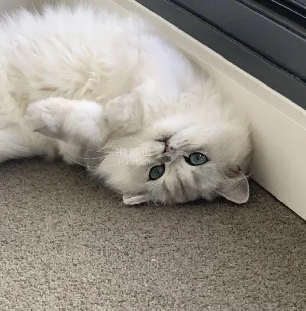 ..