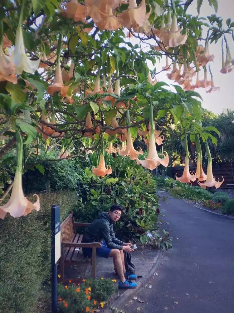 ..