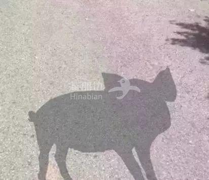 ..