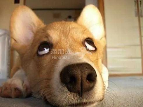 ..