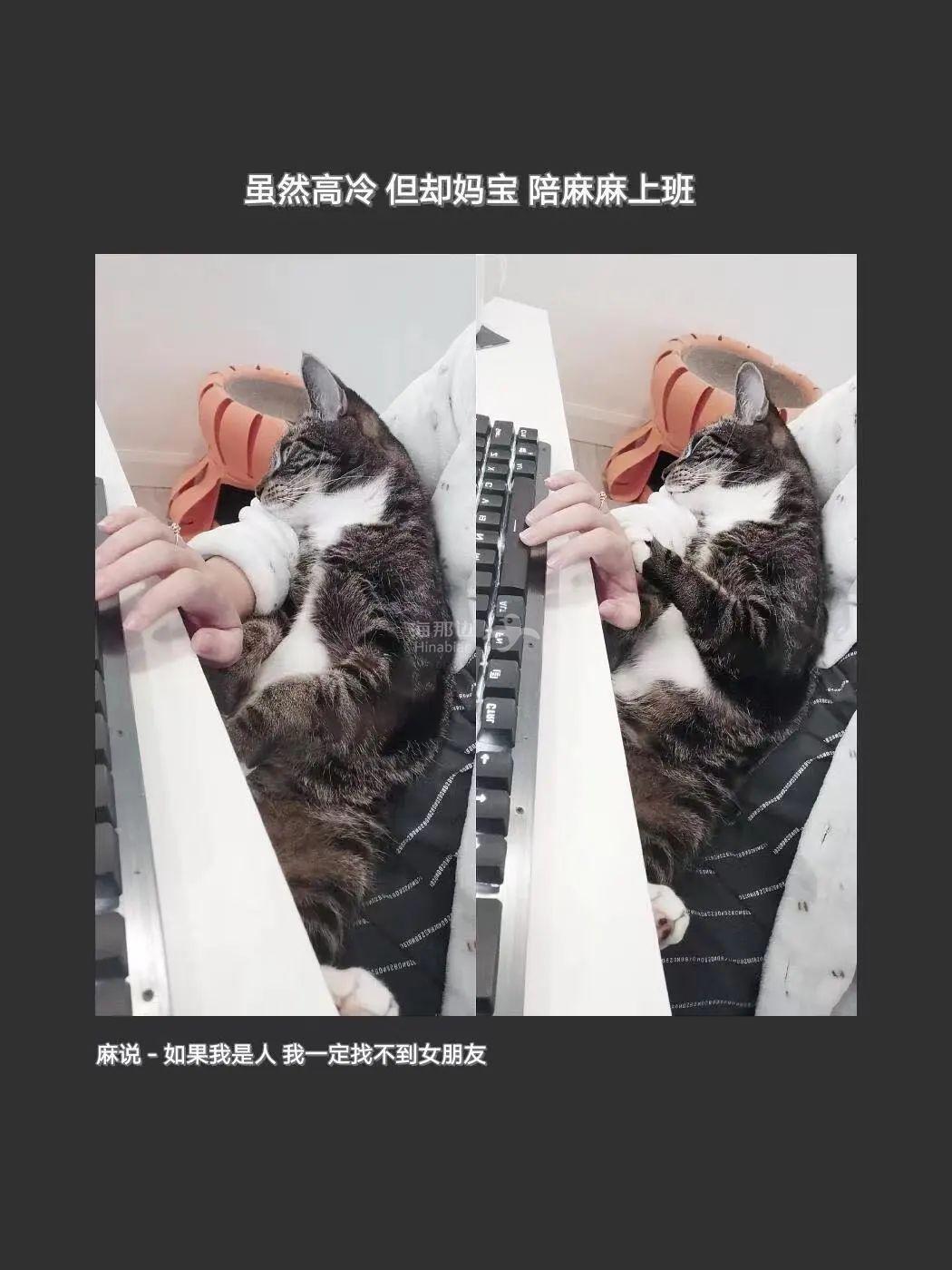 ..