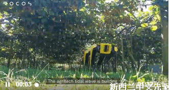 ..