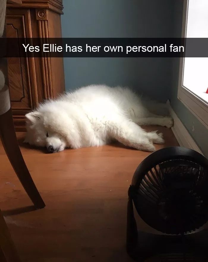 ..