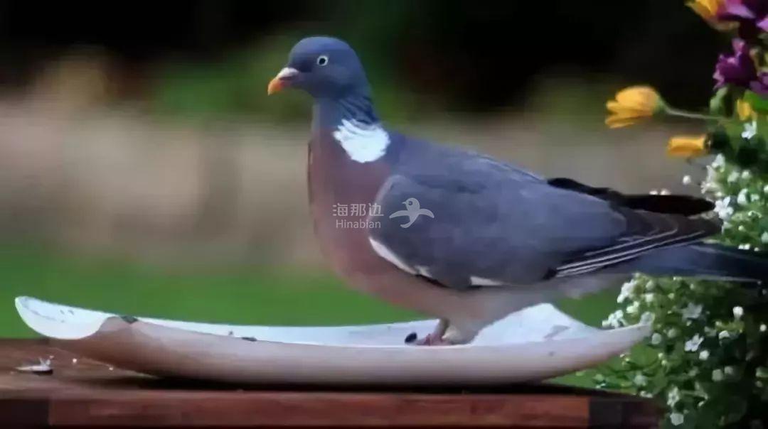 ..