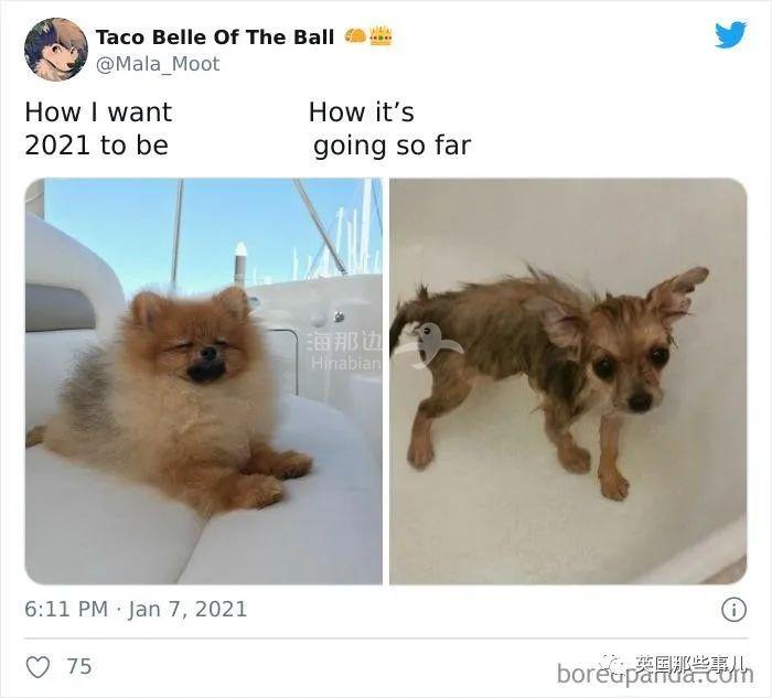 25.jpg ..